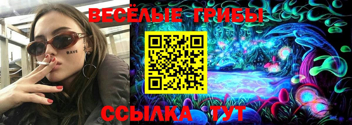 Галлюциногенные грибы Cubensis  Псилоцибиновые грибы прущие грибы  Вход с VPN  Геленджик 